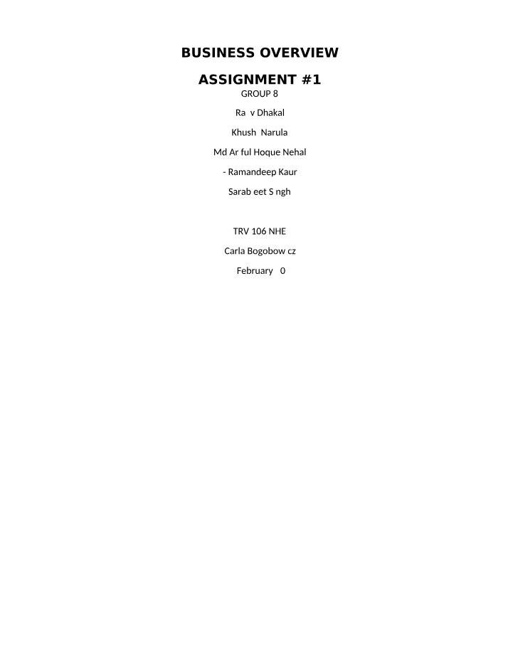 Assignment 1 - Business Overview