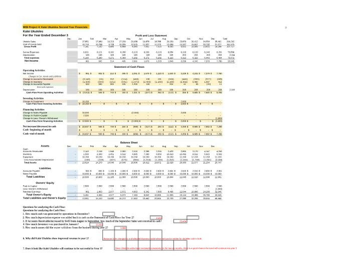 Second Year Financials for Kalei Ukuleles
