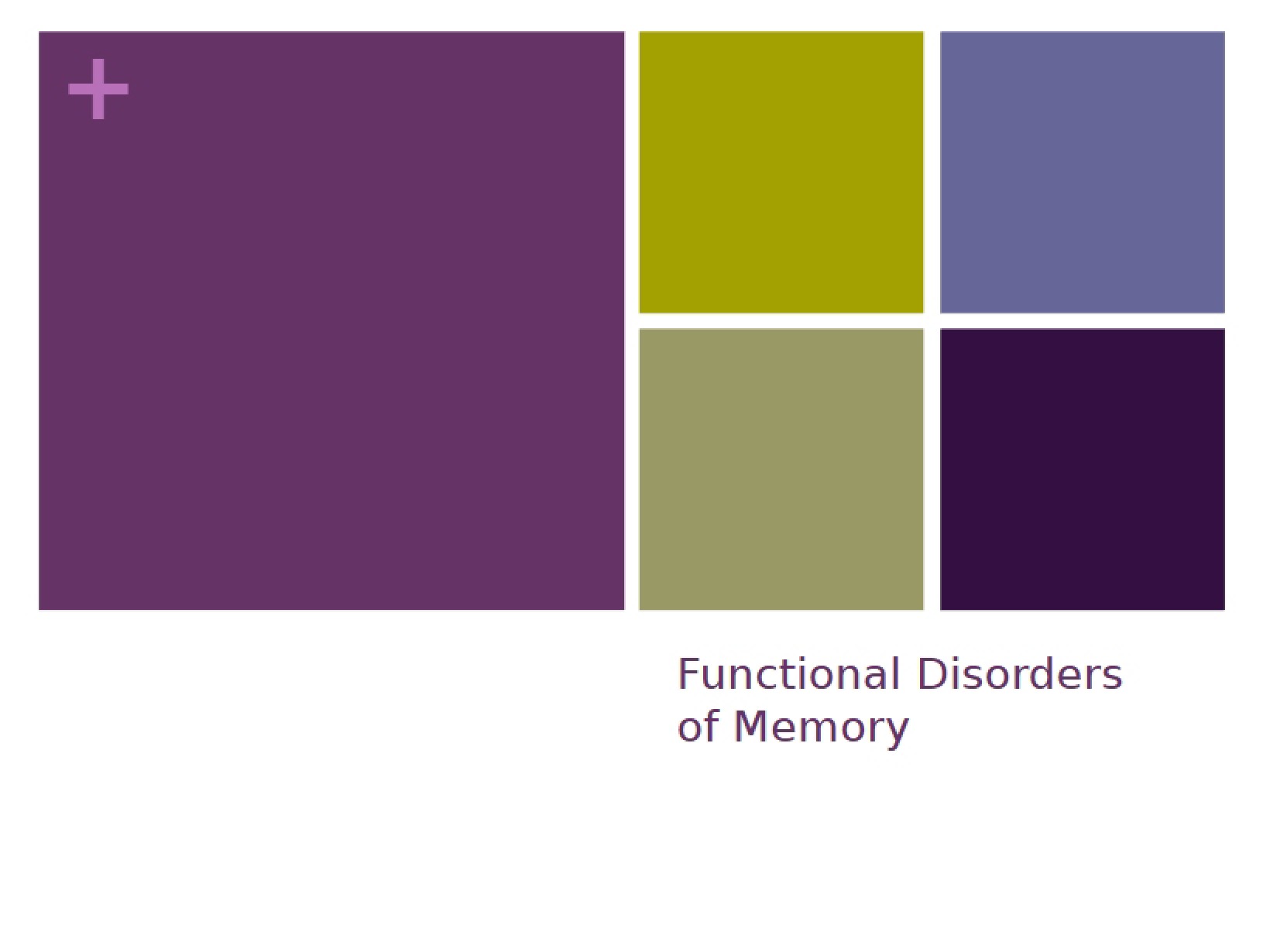 Memory Functional Disorders