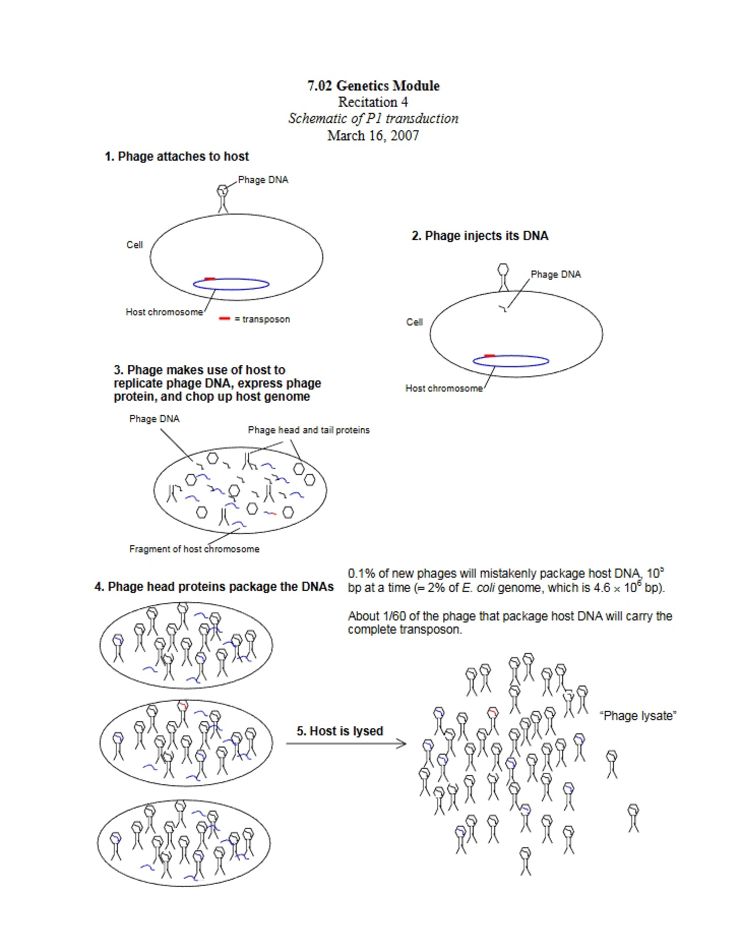 Summary for Review