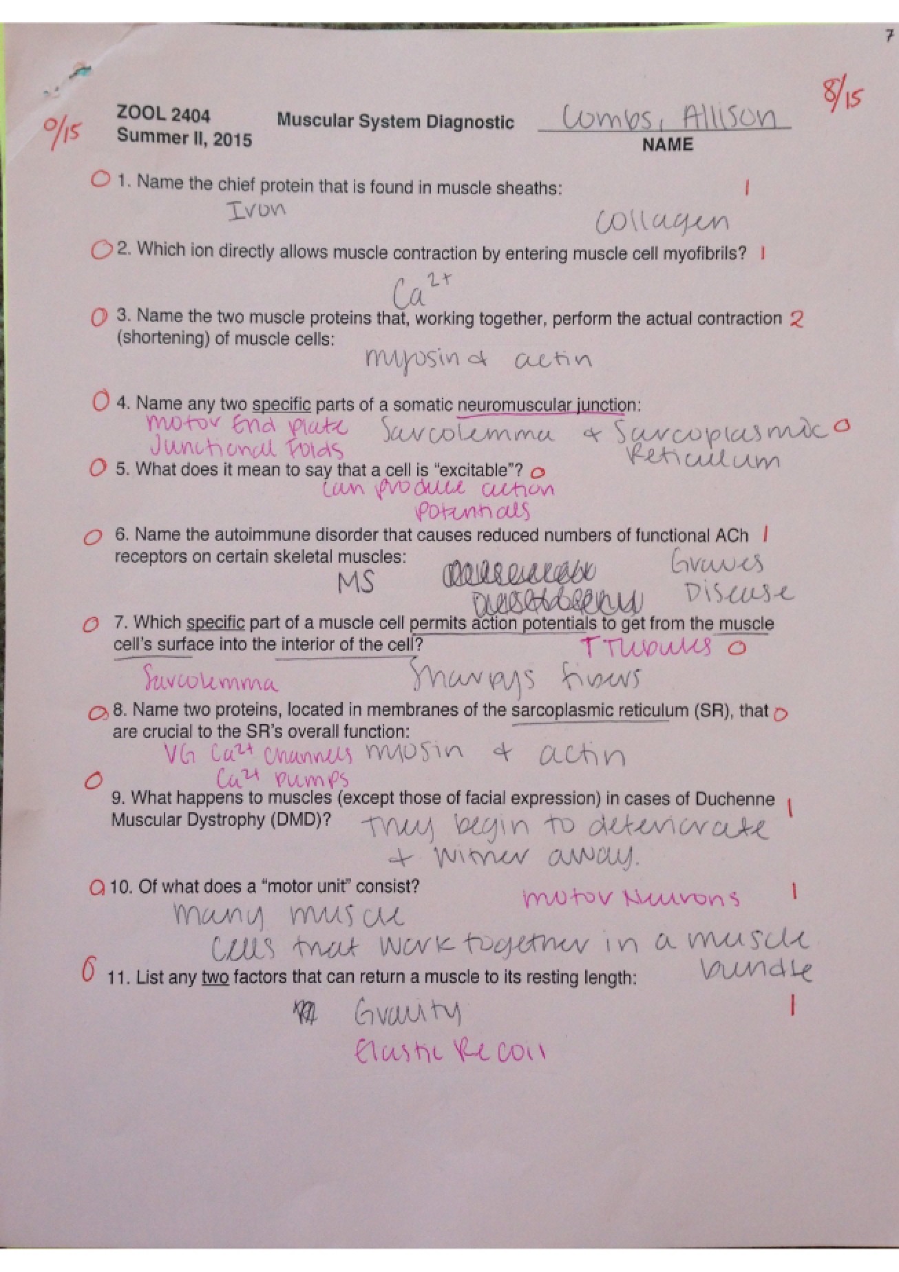 Exam
