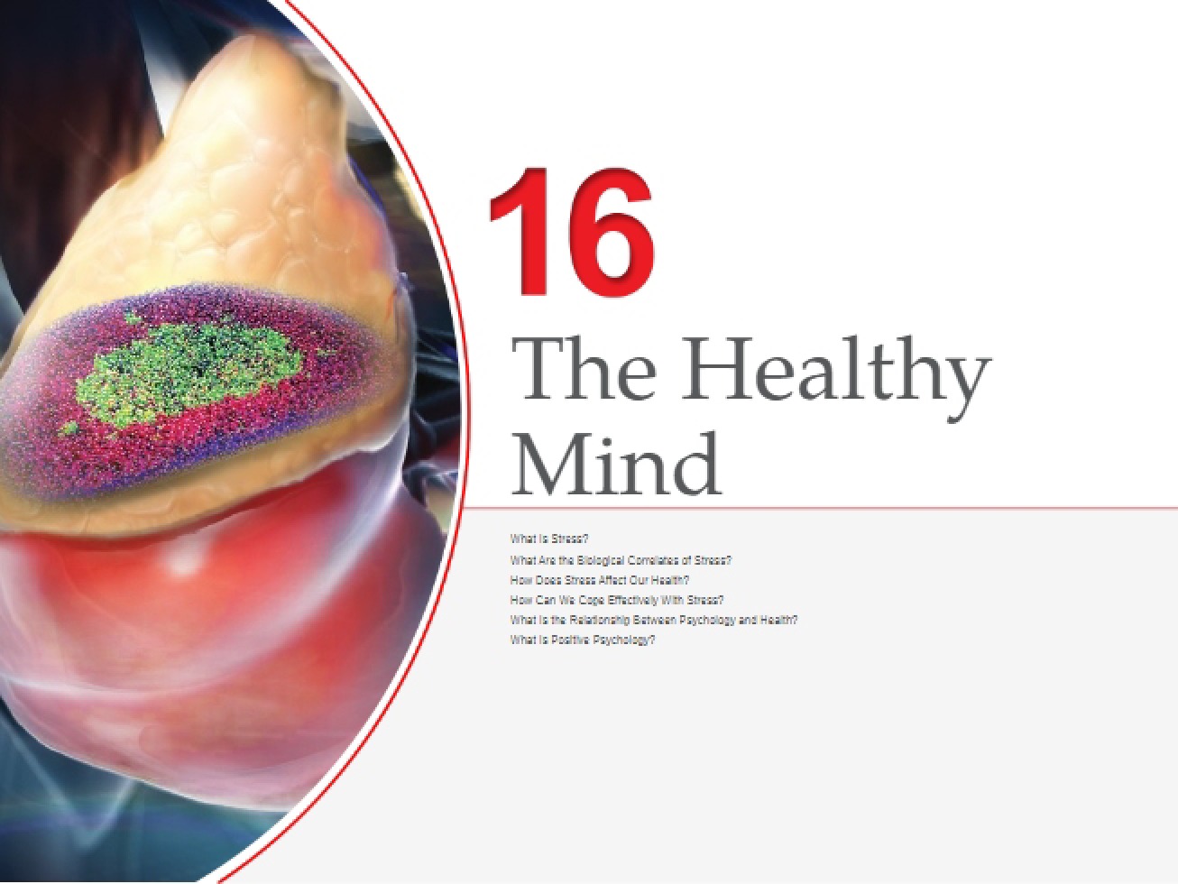 Health and Stress Chapter 16