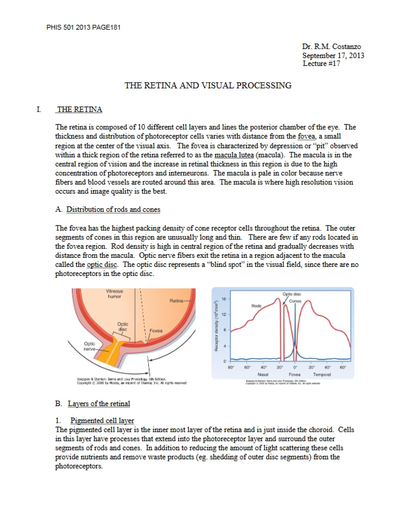 Lecture 17 Visual Processing and Retina