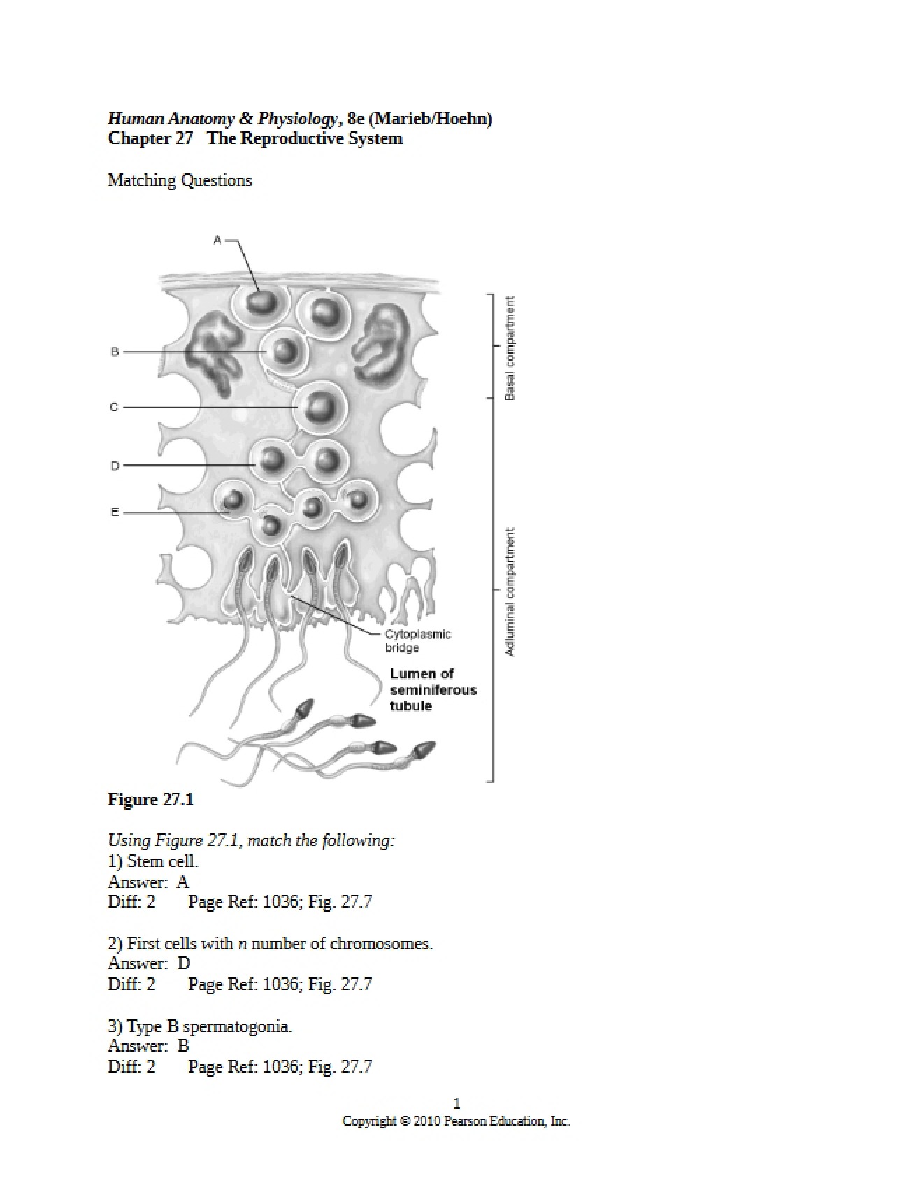 Test Bank for Chapter 27