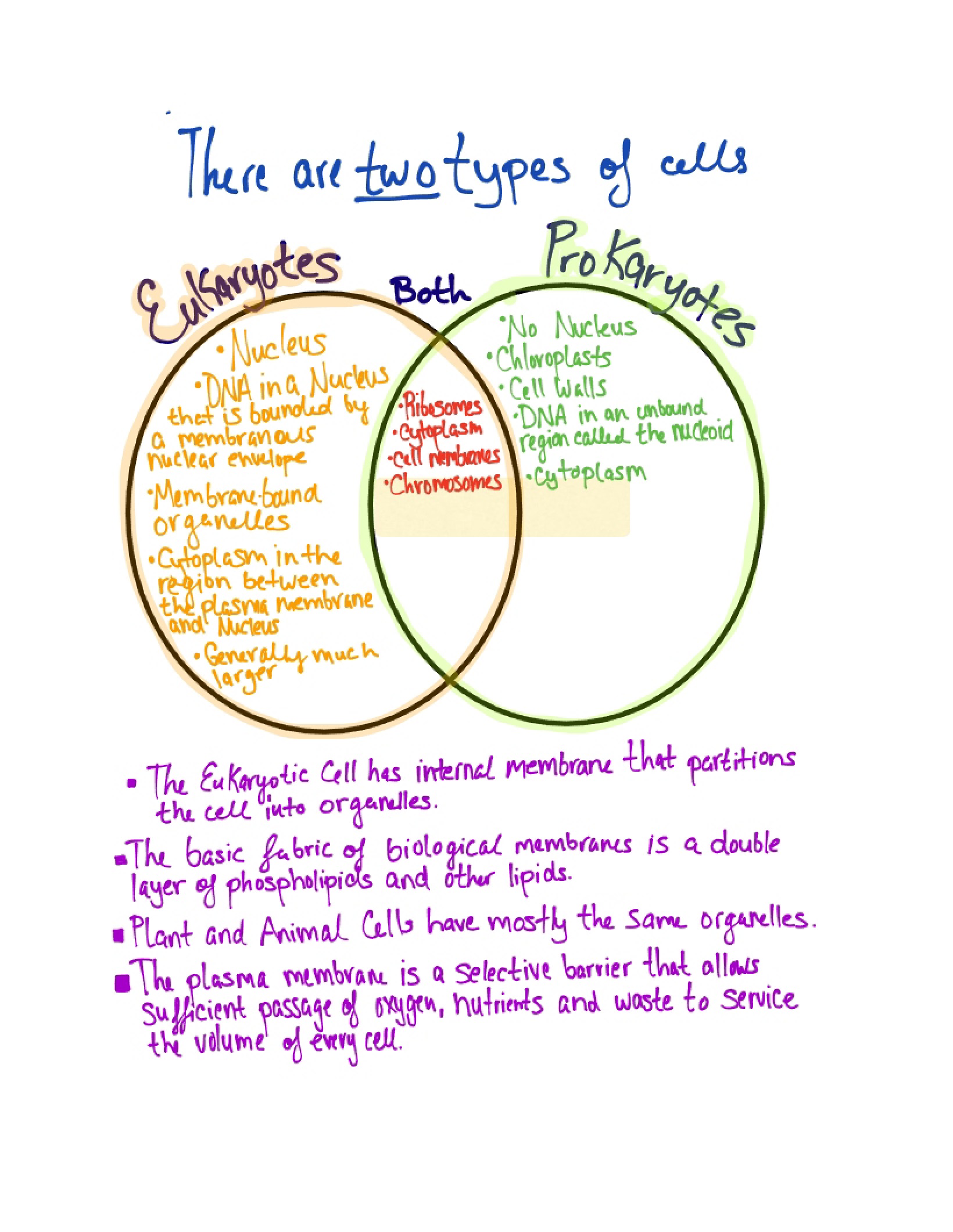 General Biology I Class Notes