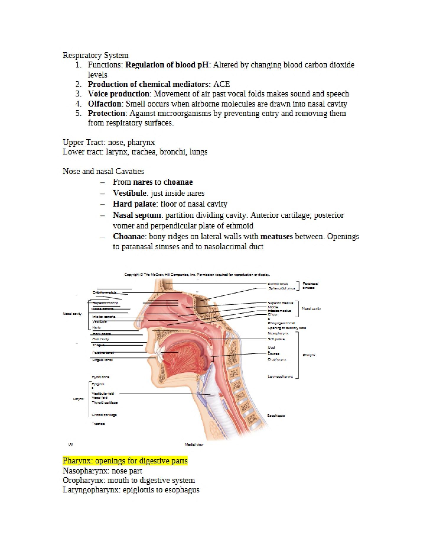 Respiratory System Concepts