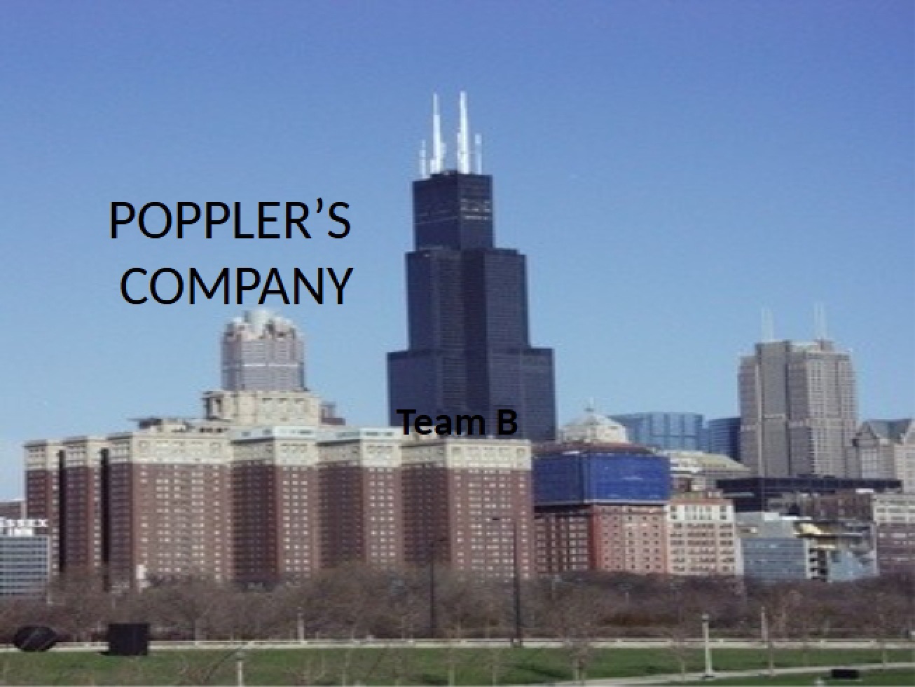 Poppler's Company Case Study