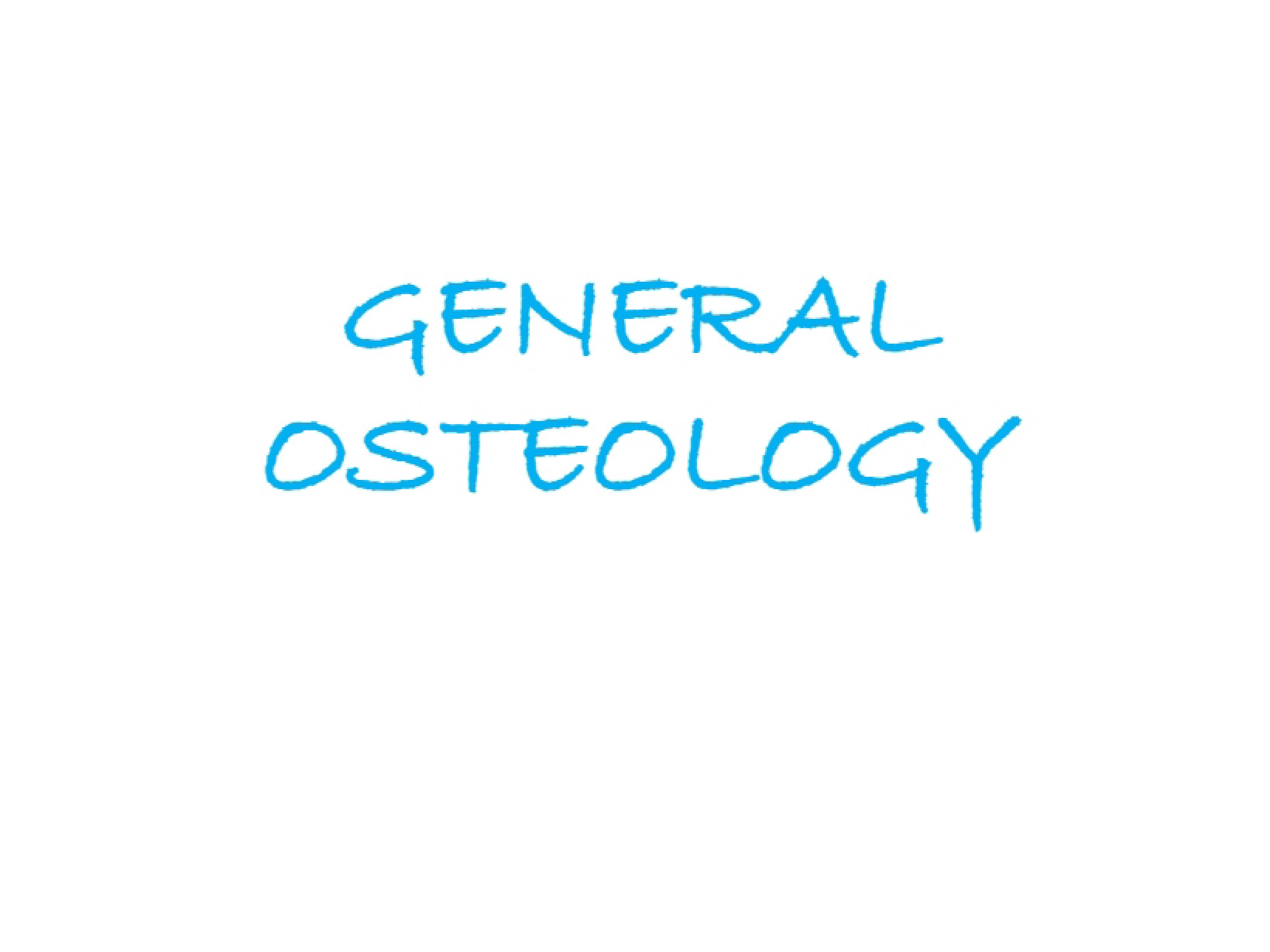General Osteology Overview
