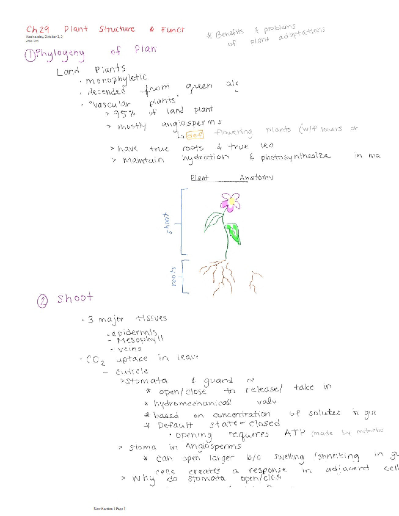 Course Notes - 3 Pages