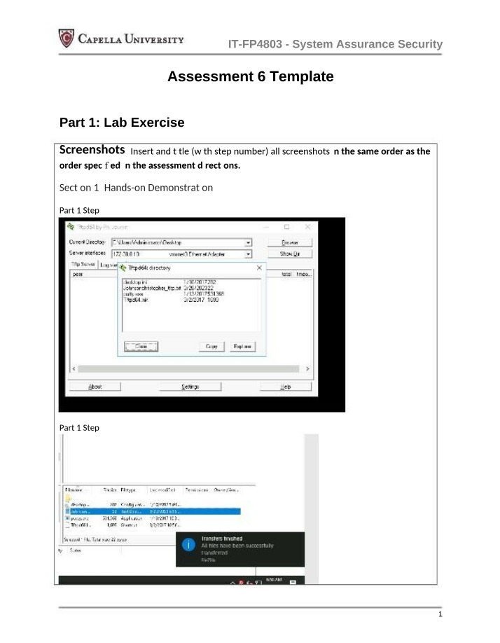 System Assurance Security - Applied Hands-on Demonstration