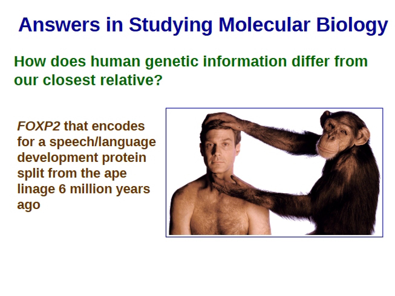 Molecular Biology