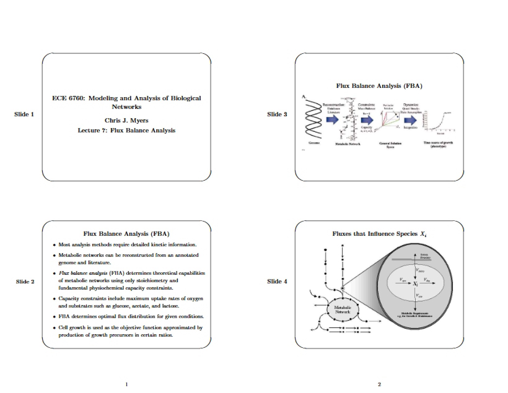 Analysis of Flux Balance