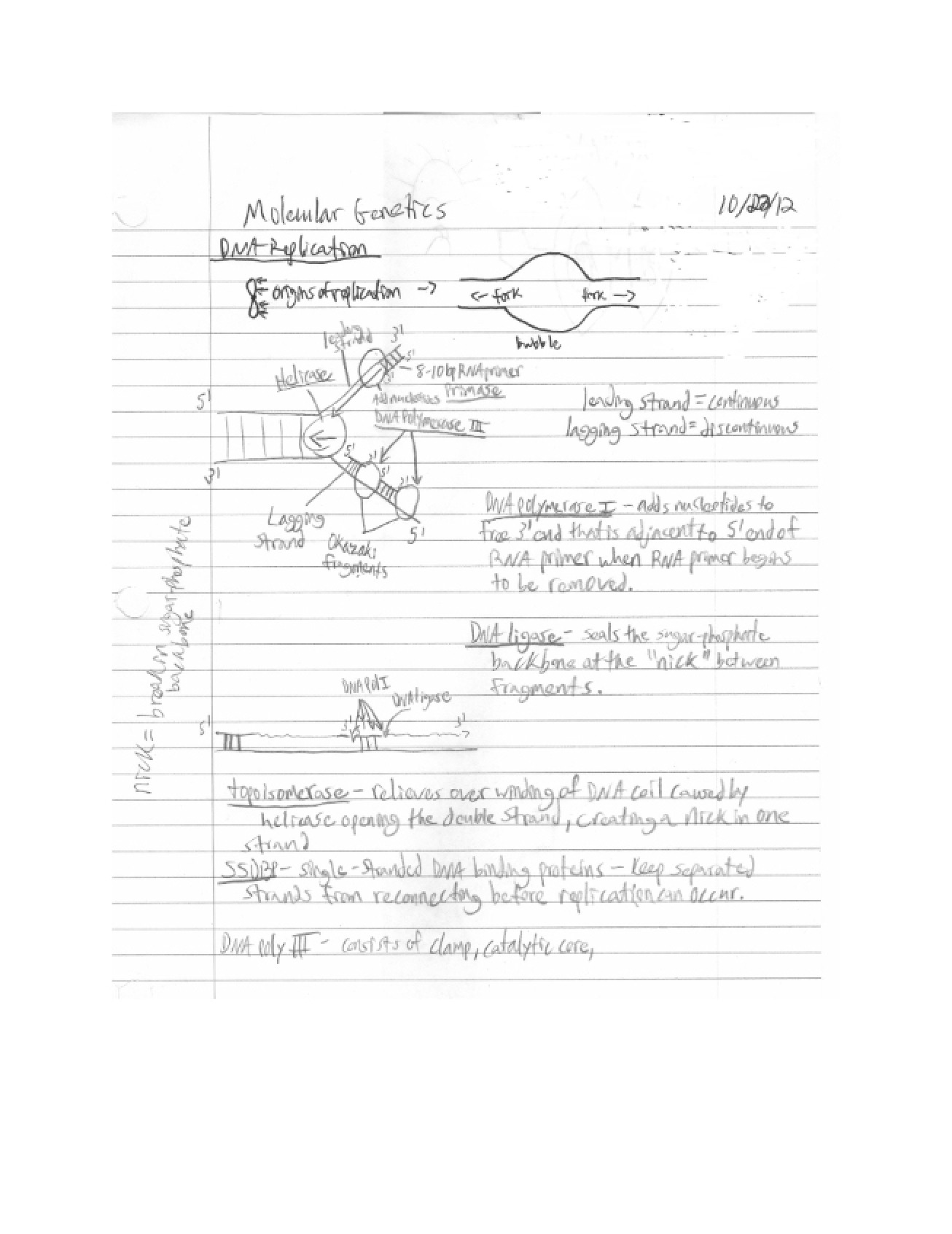 Study Materials for Genetics