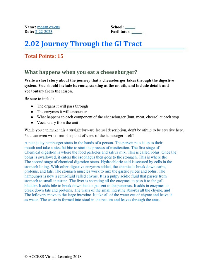 GI Tract Journey
