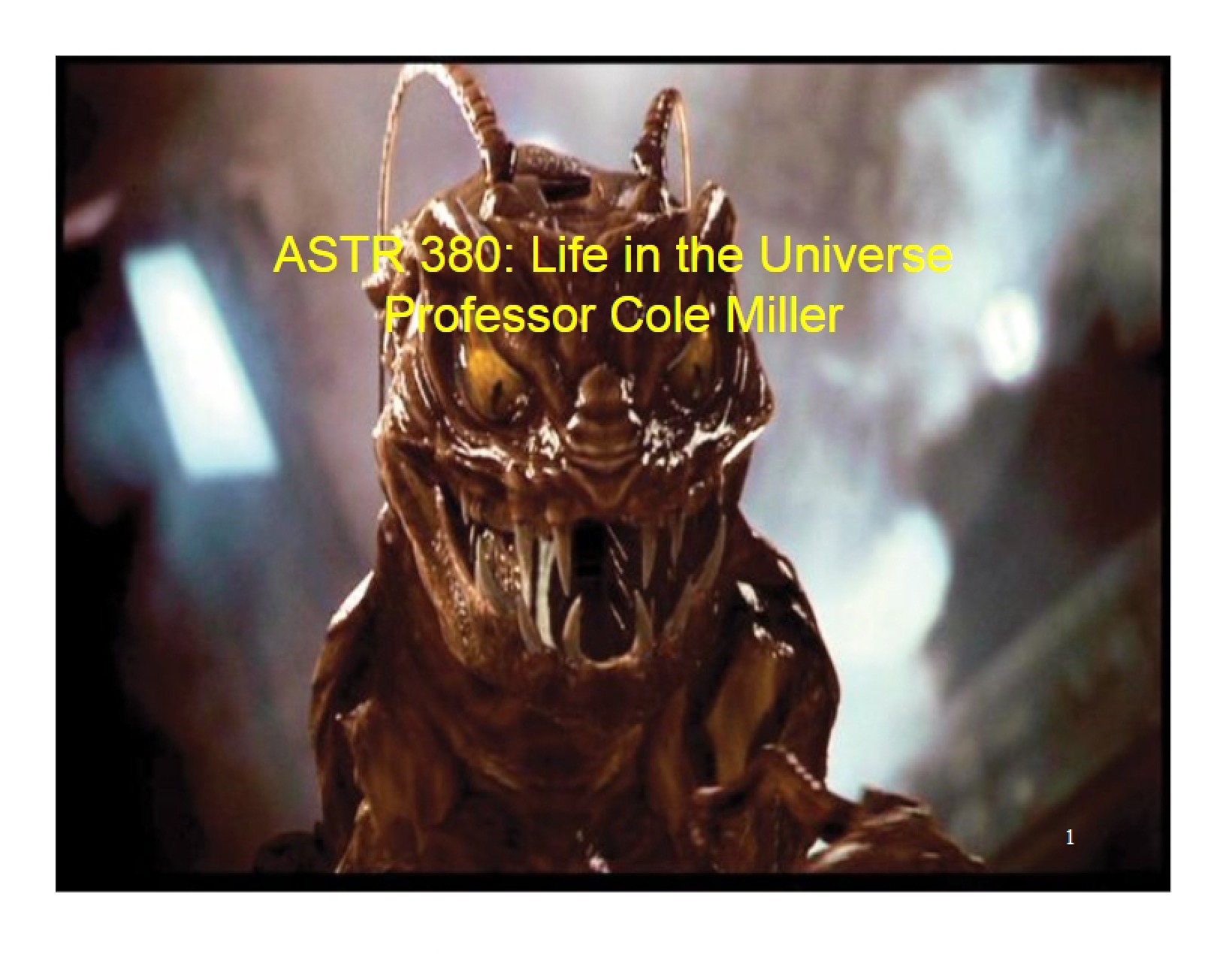 Universe Life Overview