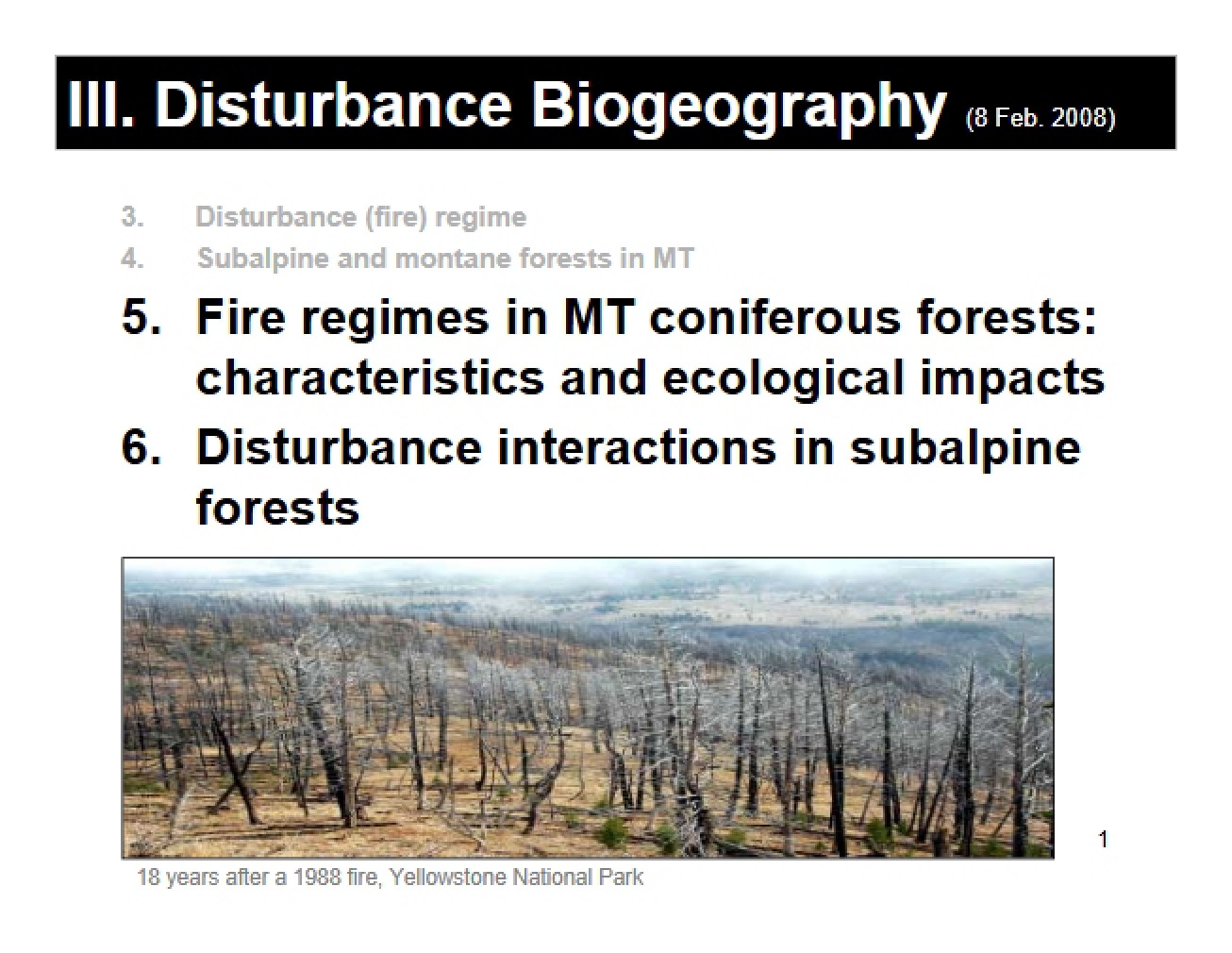 Biogeography of Disturbance
