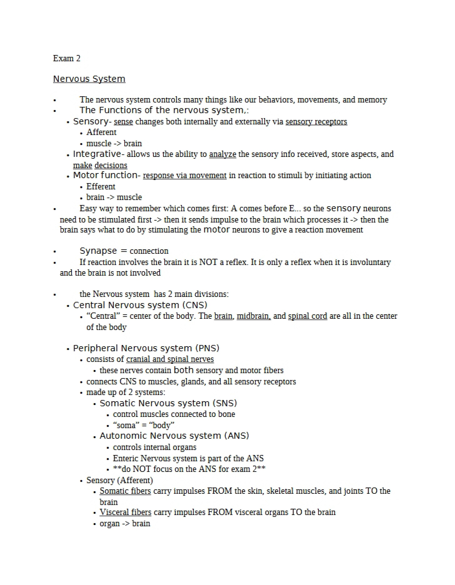 Nervous System Summary