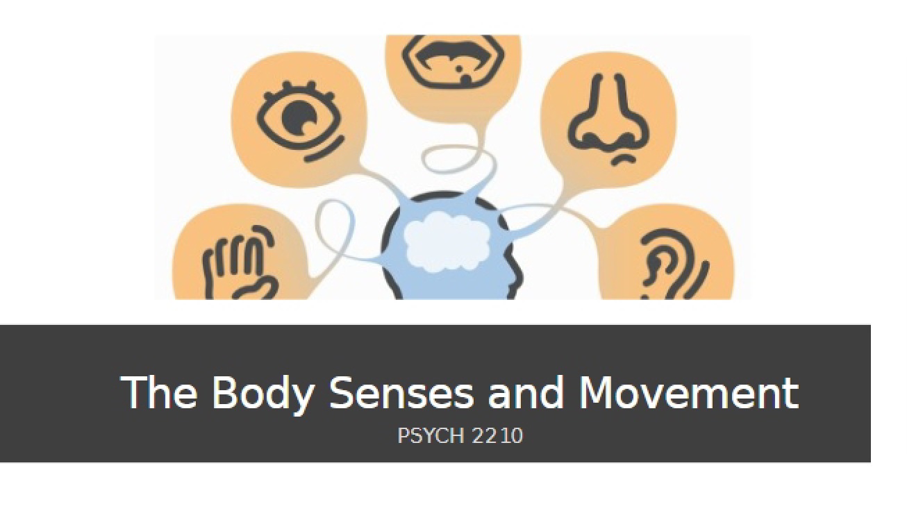 Movement and Body Senses
