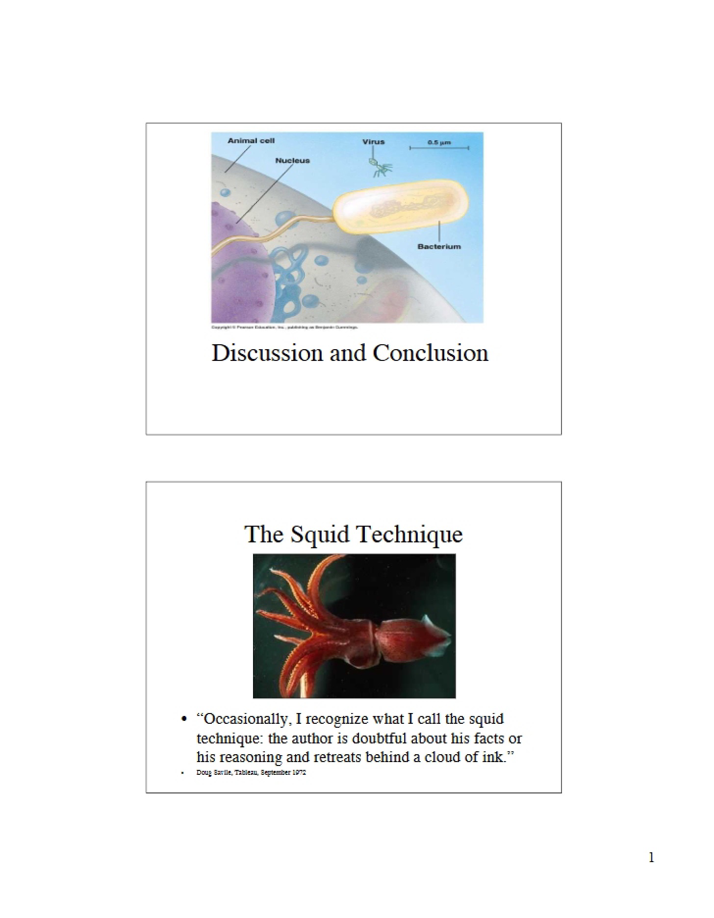 Conclusion and Discussion