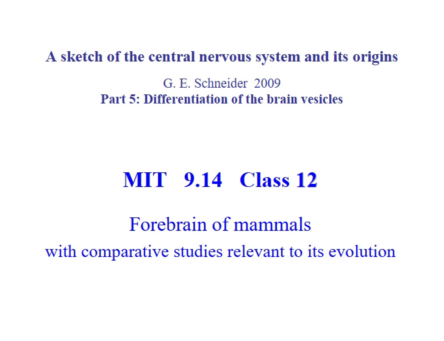 Comparative Evolutionary Studies of the Mammalian Forebrain