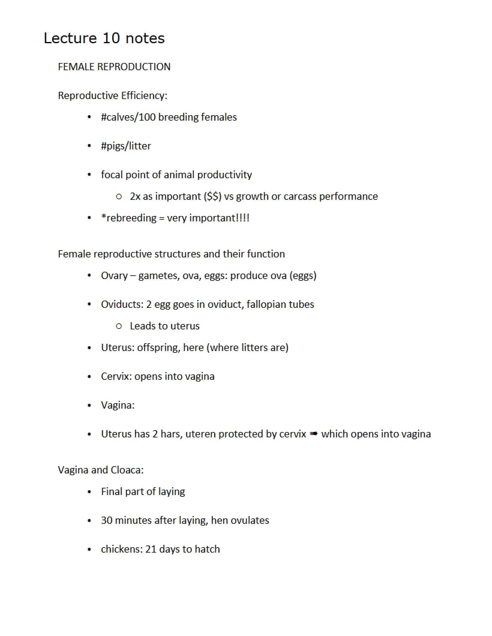 Notes for Lecture Ten