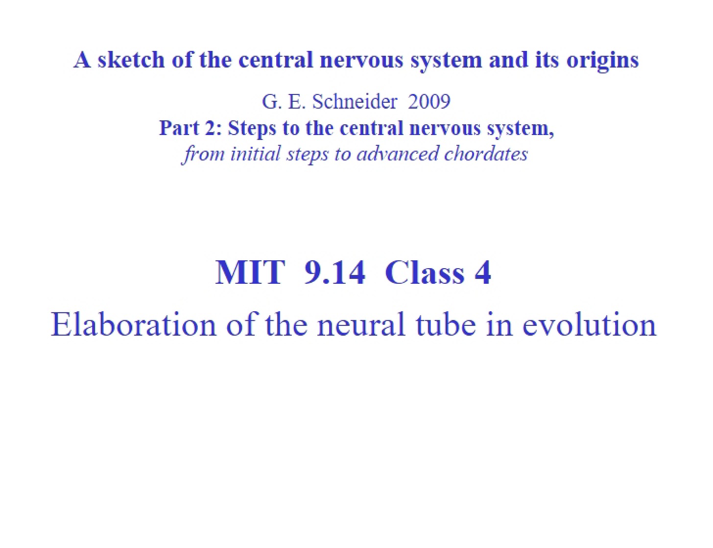 Evolutionary Neural Tube Elaboration