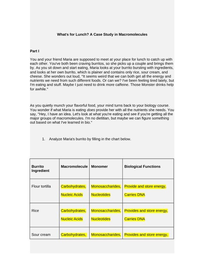What's for Lunch - A Case Study in Macromolecules
