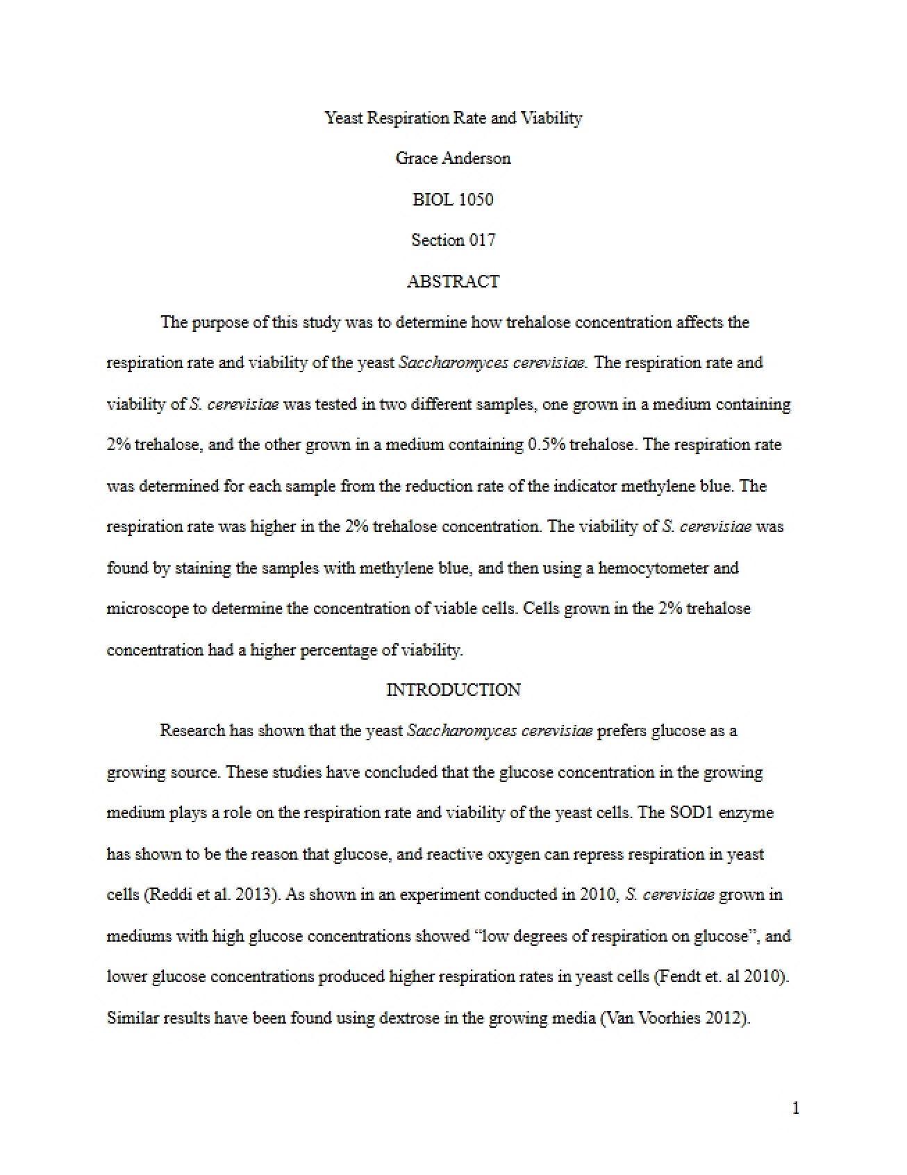 Second Lab Report