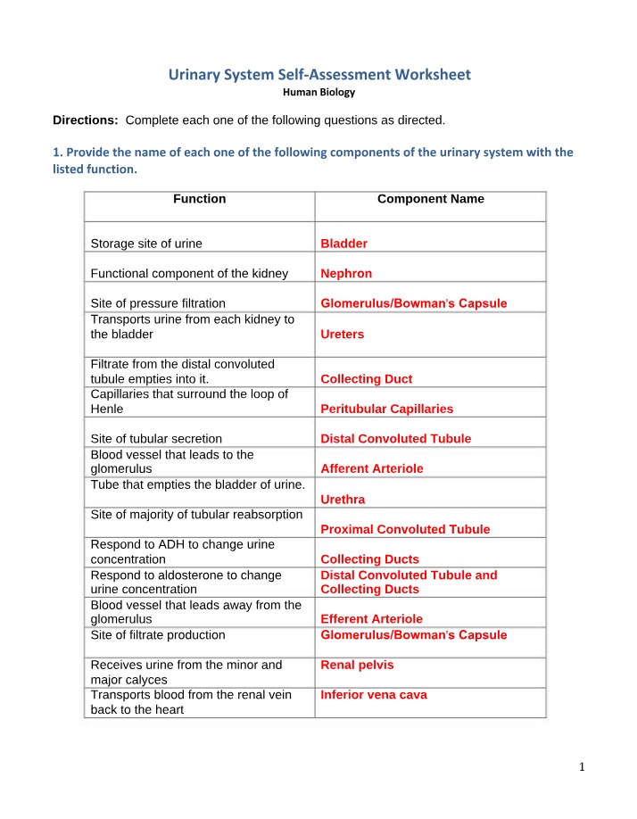 Worksheet for Urinary System Self-Assessment