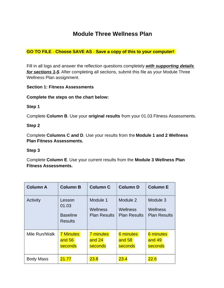 Wellness Plan - Module Three PE
