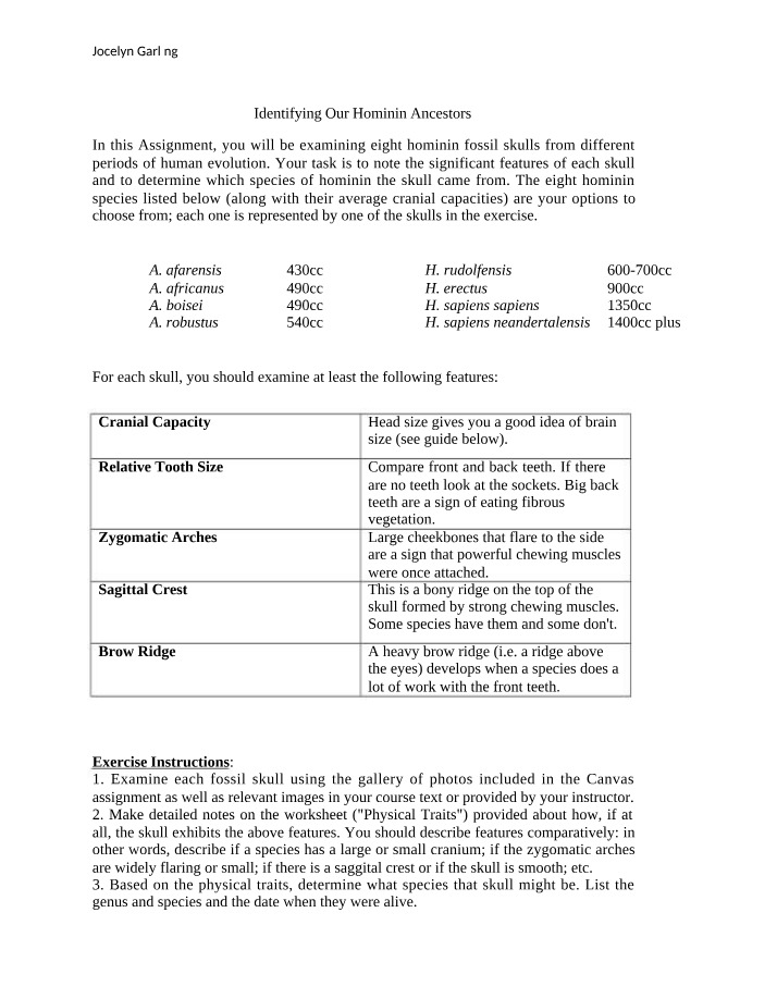 Hominin Ancestors Worksheet