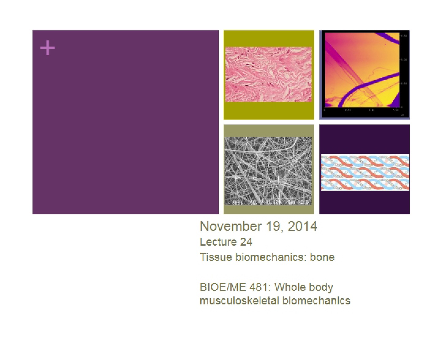 Lecture 24 Fall 2014