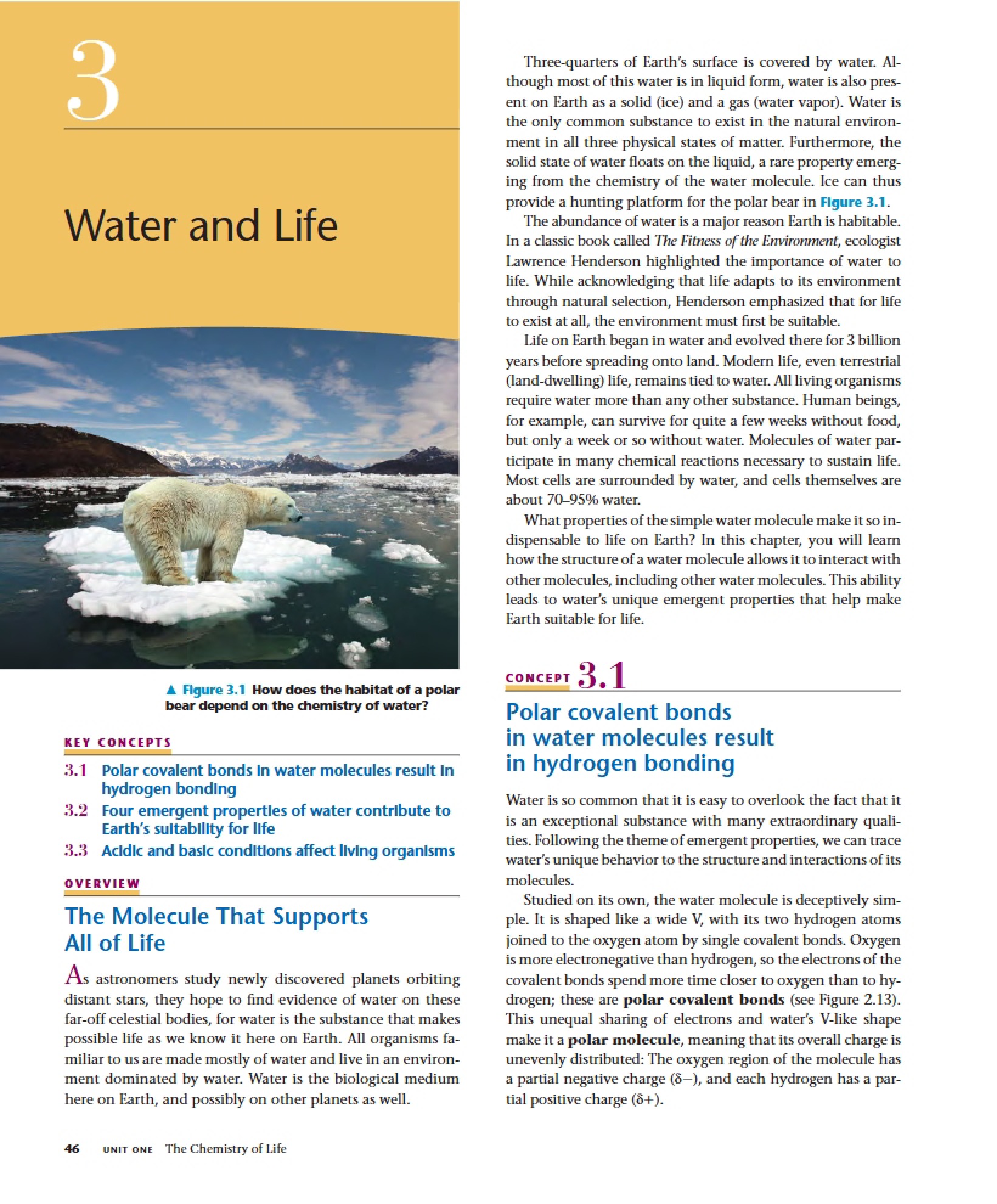 Life and Water