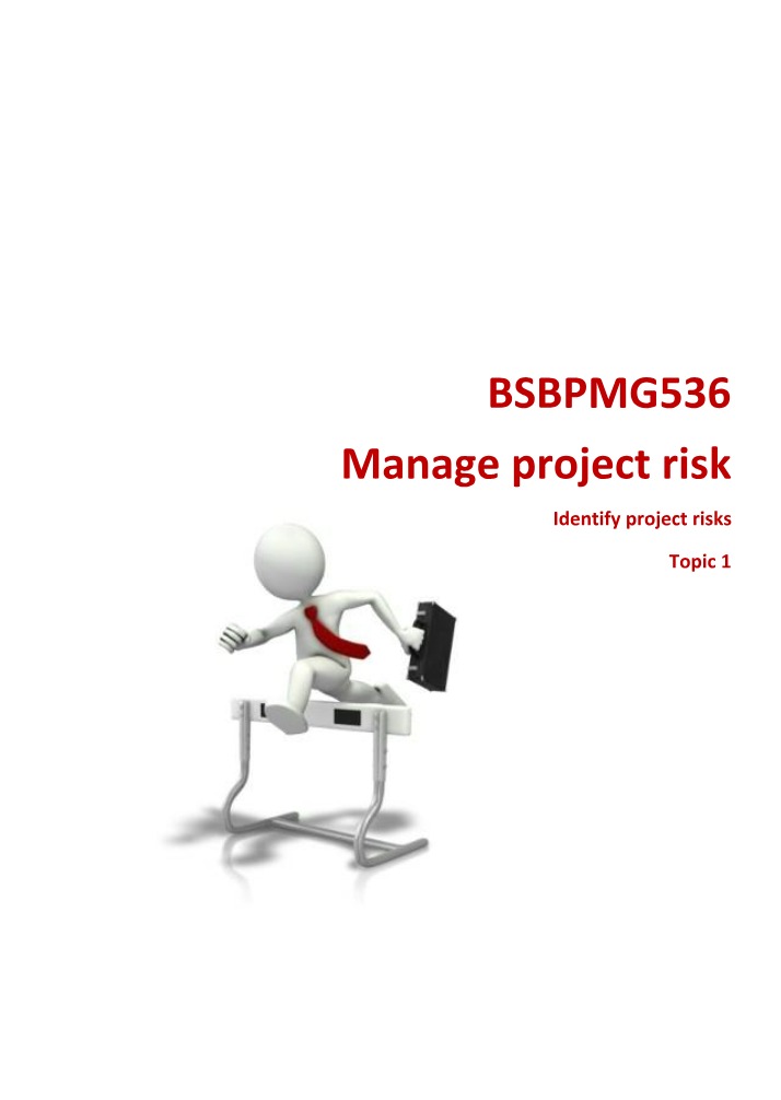 Project Risks - Objectives, Standards, and Stakeholders