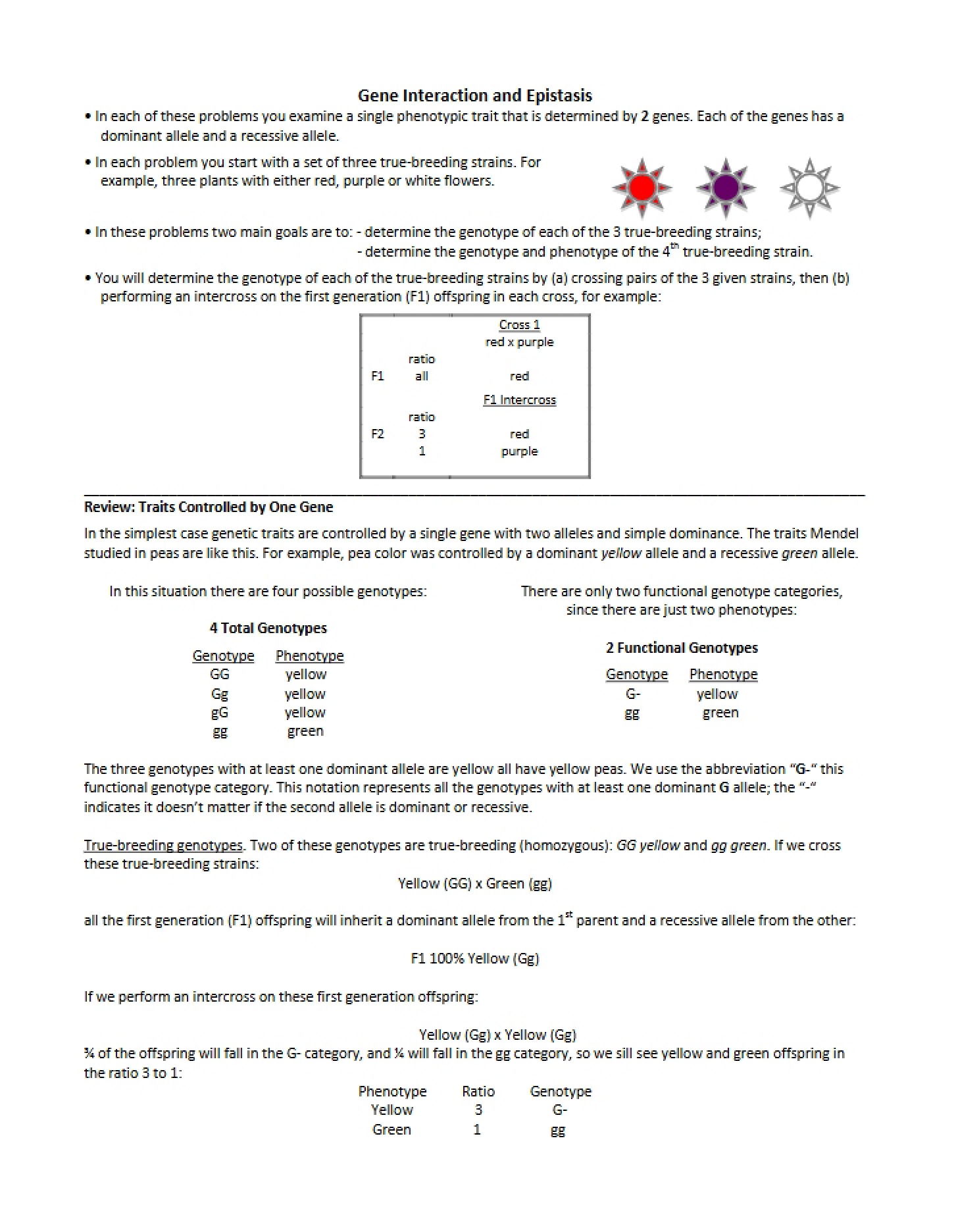 Epistasis and Gene Interaction