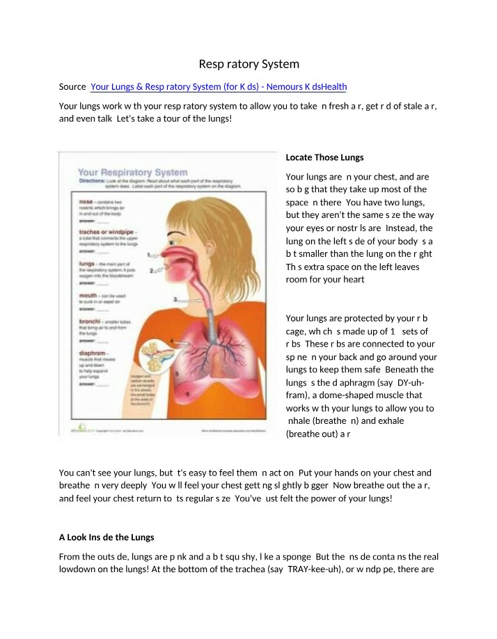 The Incredible Power of Your Lungs - A Journey