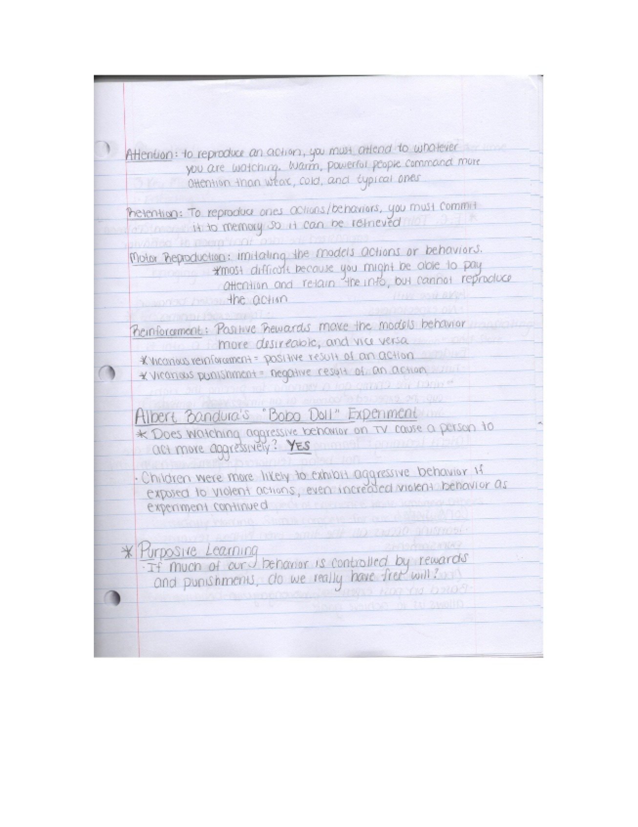 Conditioning Operant