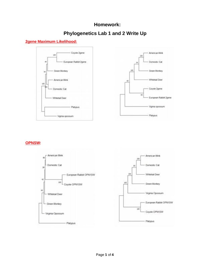Phylogenetic Trees Comparison Lab - DNA versus Physical Traits