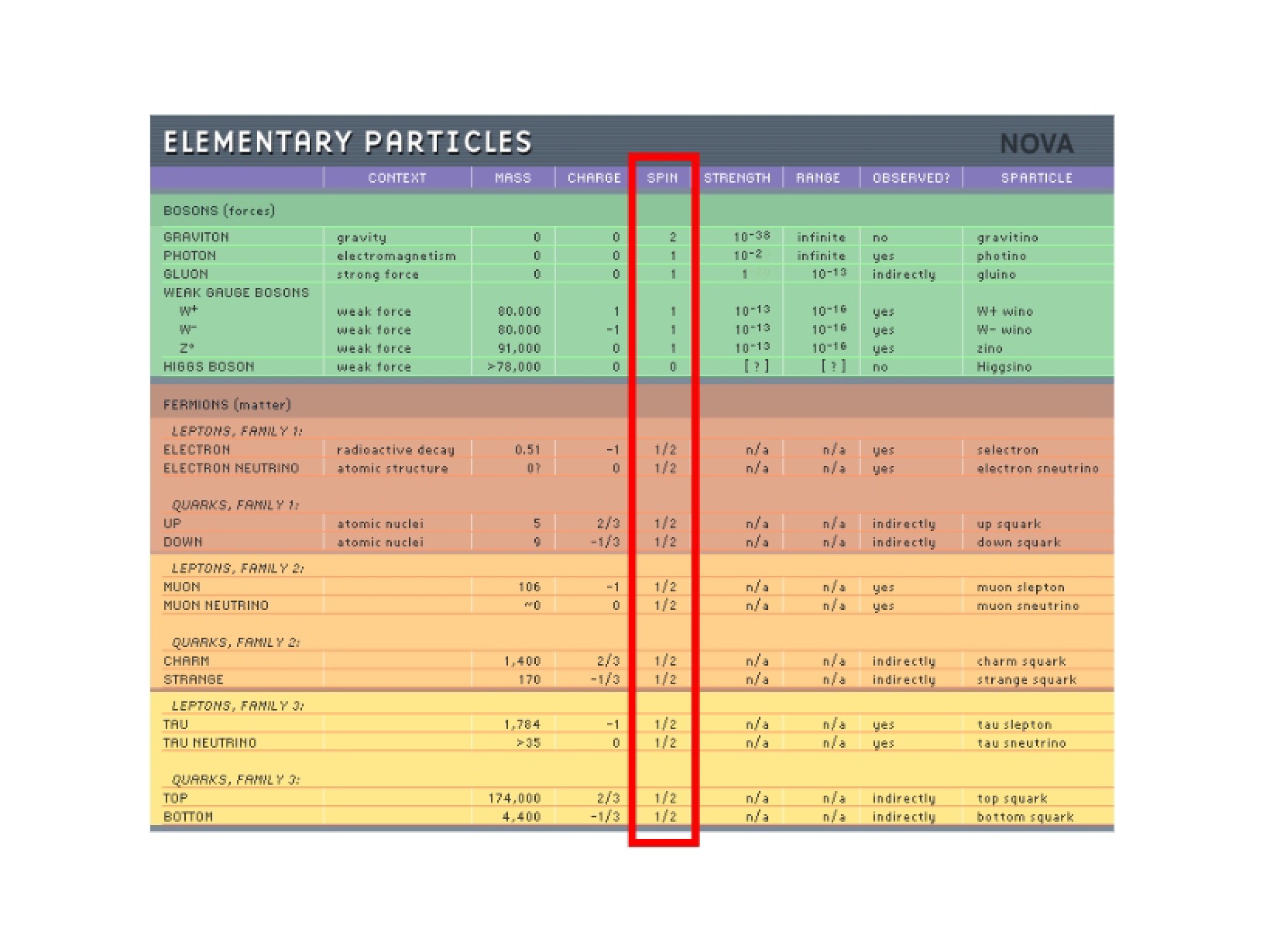 Particles Elementary Types