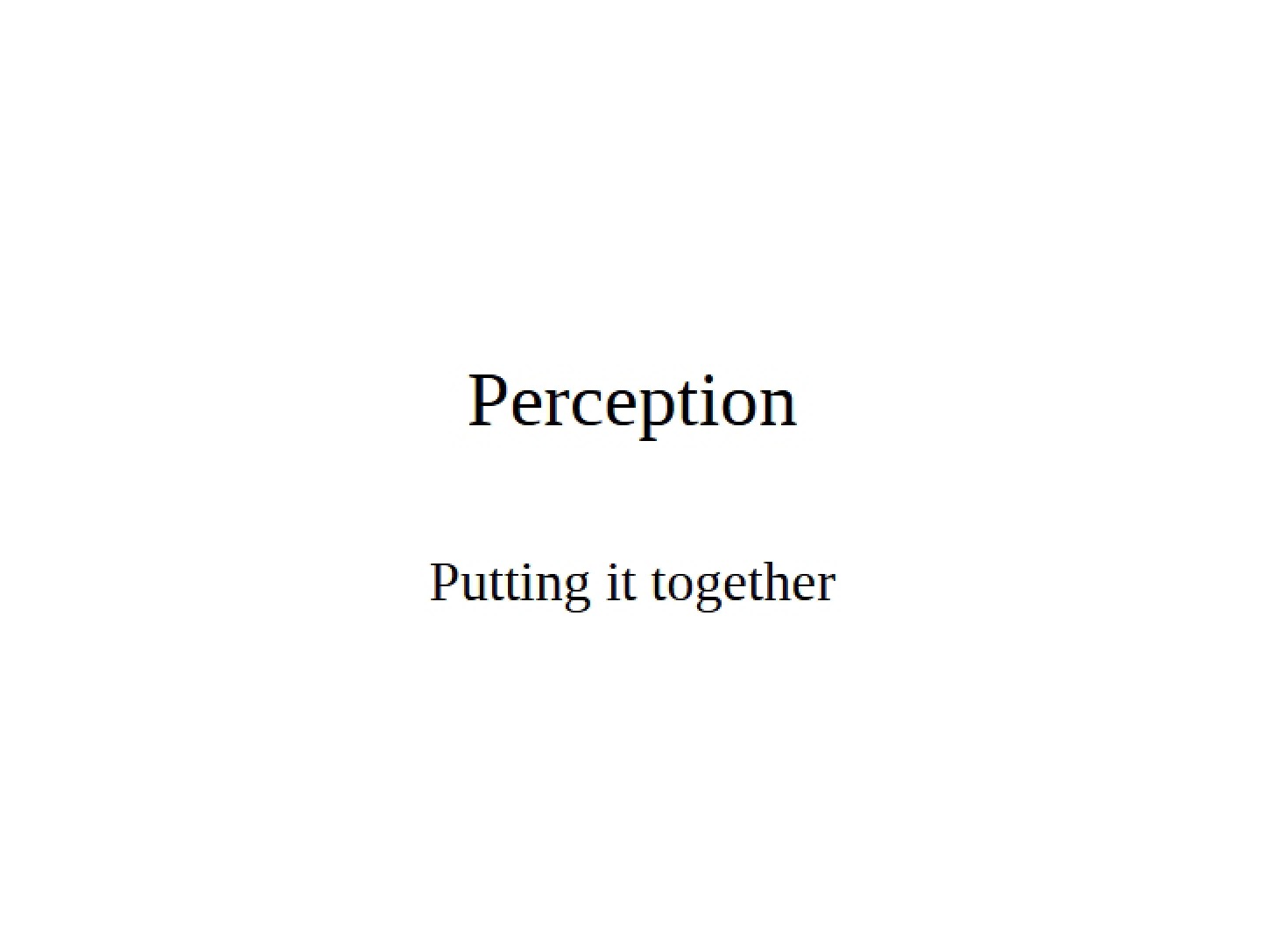 Perception Process