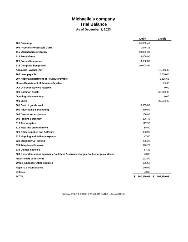 Michaelle's Company Trial Balance Section C