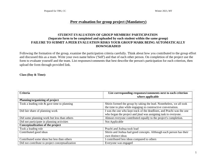 Peer Evaluation Template