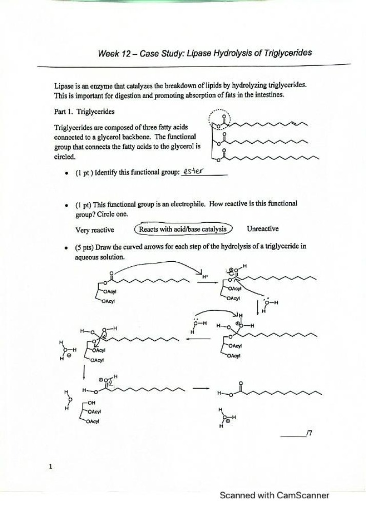 Lipase Hydrolysis of Triglycerides Case Study - Week 12