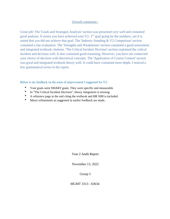 Year 2 Audit Report and Analysis - MGMT 3313