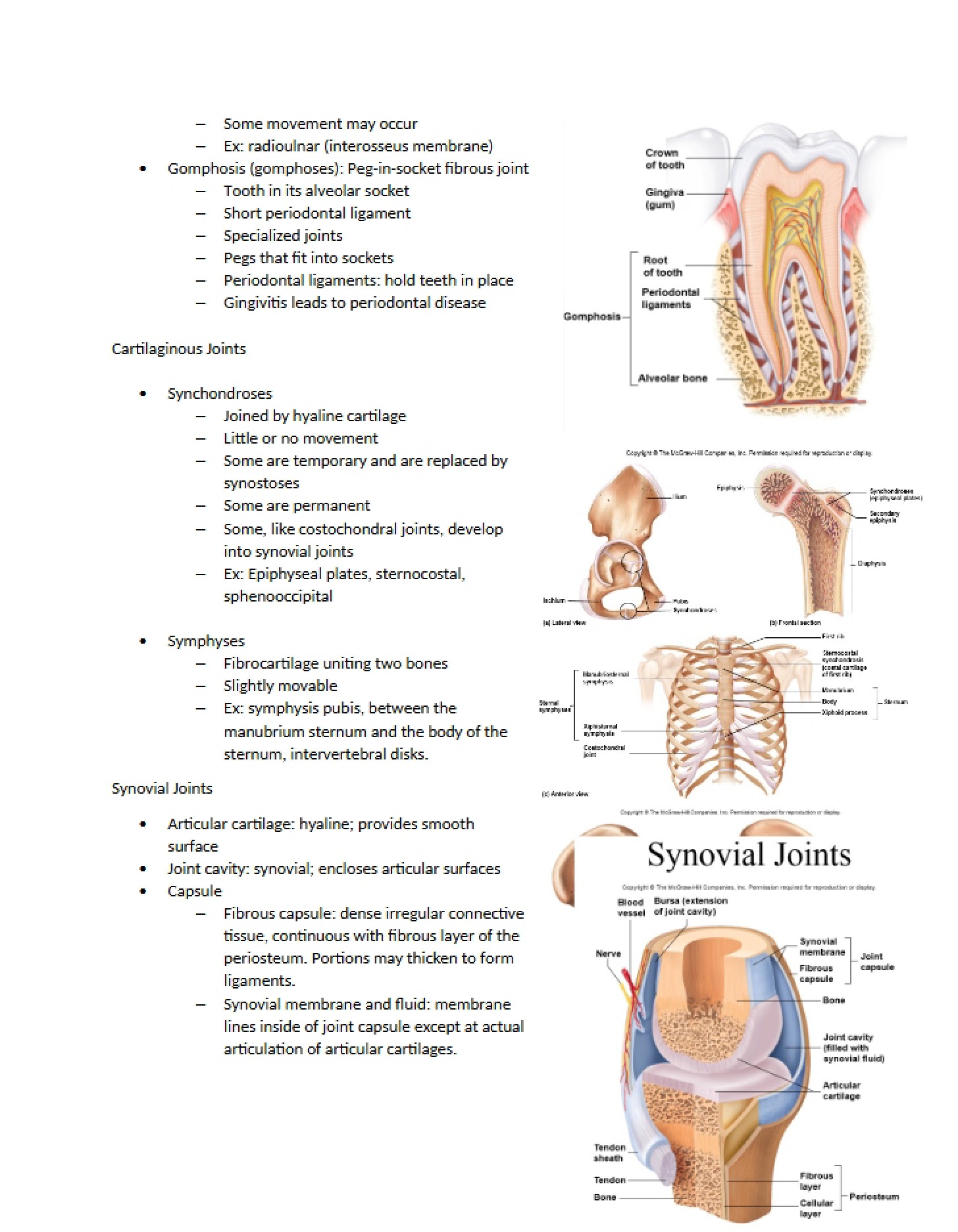 Joints of the Cartilage