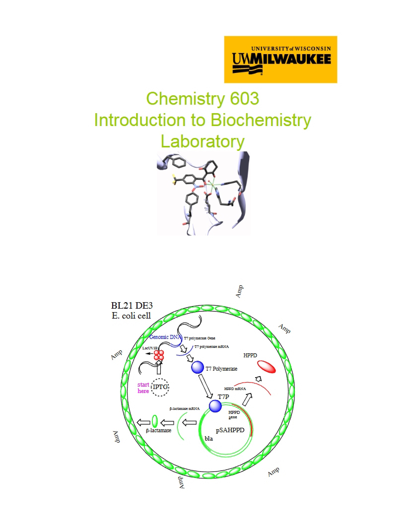 Lab Introduction Biochemistry