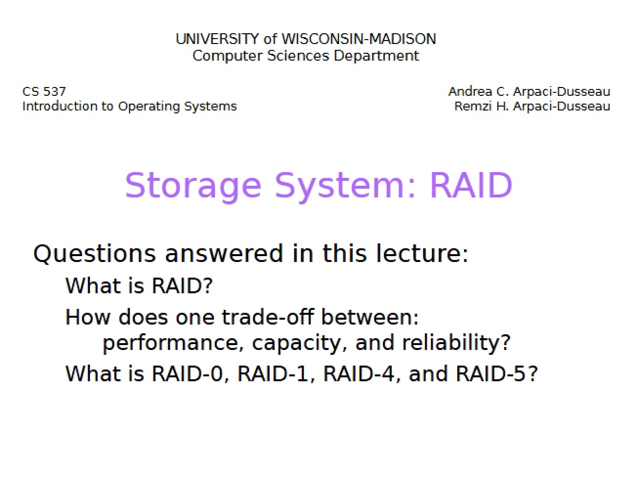 RAID Storage Systems