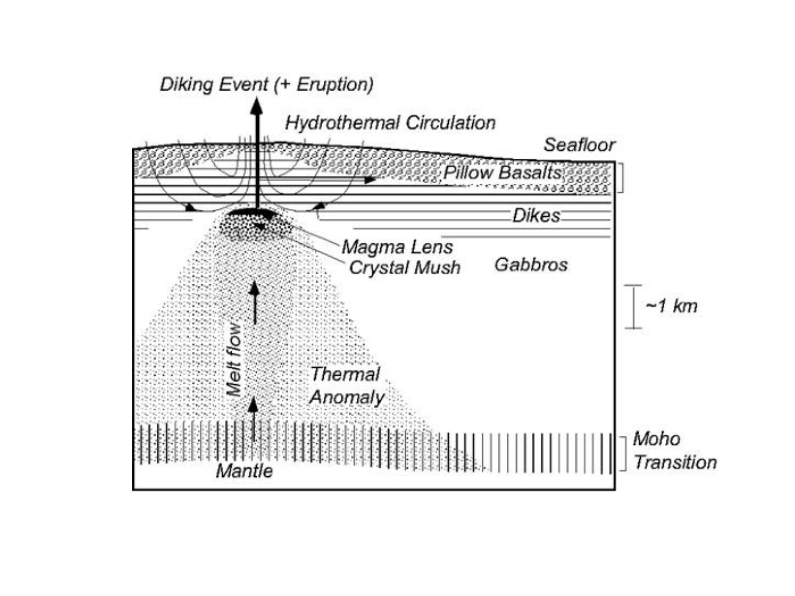Earth and Planetary Sciences Notes