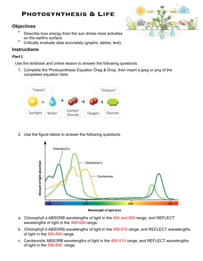 Energy Production - The Role of Photosynthesis