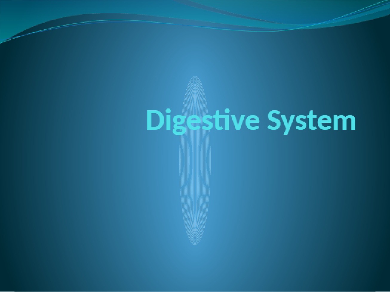 Part Two Digestive System Overview